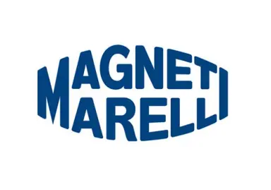 Magneti